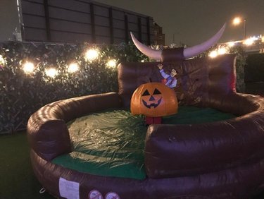 rodeo pumpkin hire London, Kent, Essex,Surry